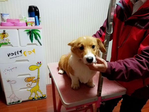 QQ图片20170107212758.jpg
