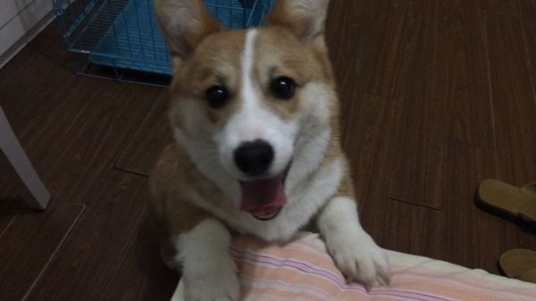 QQ图片20170207084638.jpg