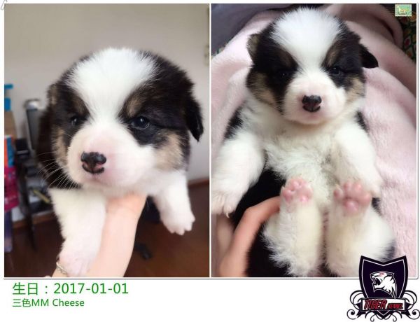 QQ图片20170208111841.jpg