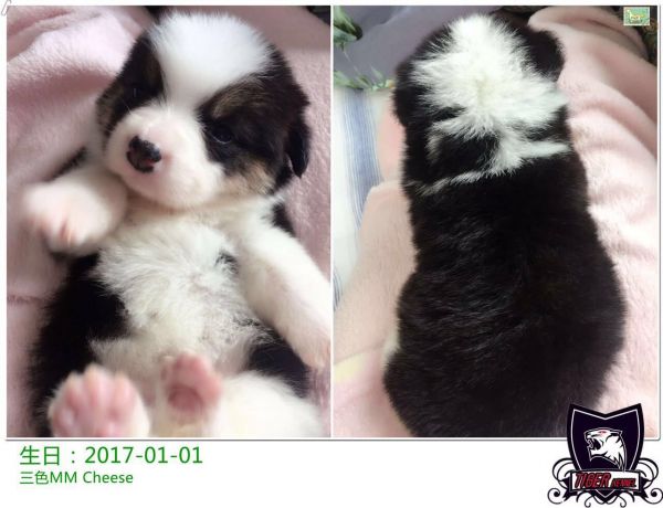 QQ图片20170208111848.jpg