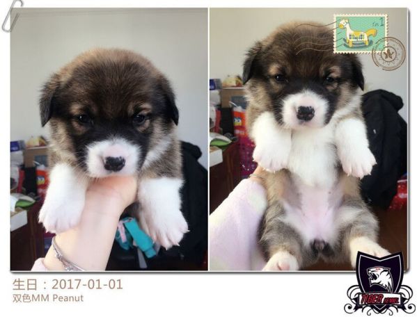 QQ图片20170208111852.jpg
