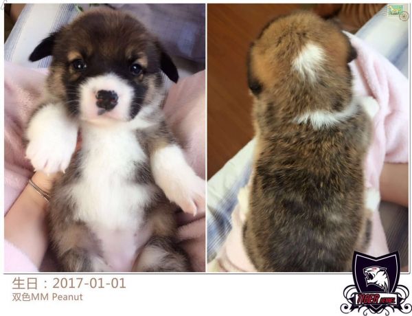 QQ图片20170208111857.jpg