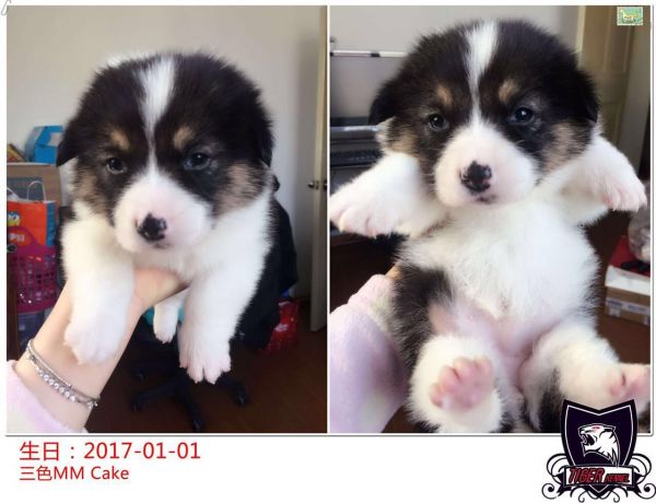 QQ图片20170208111903.jpg