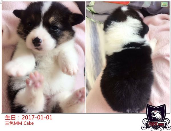 QQ图片20170208111907.jpg