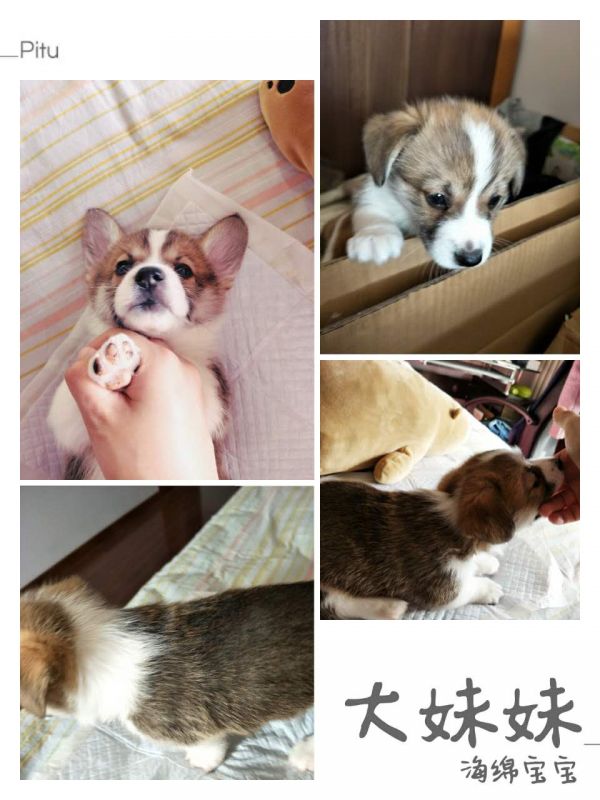 老大广告.jpg