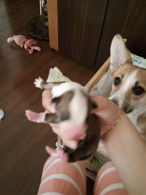 老二出生照.jpg