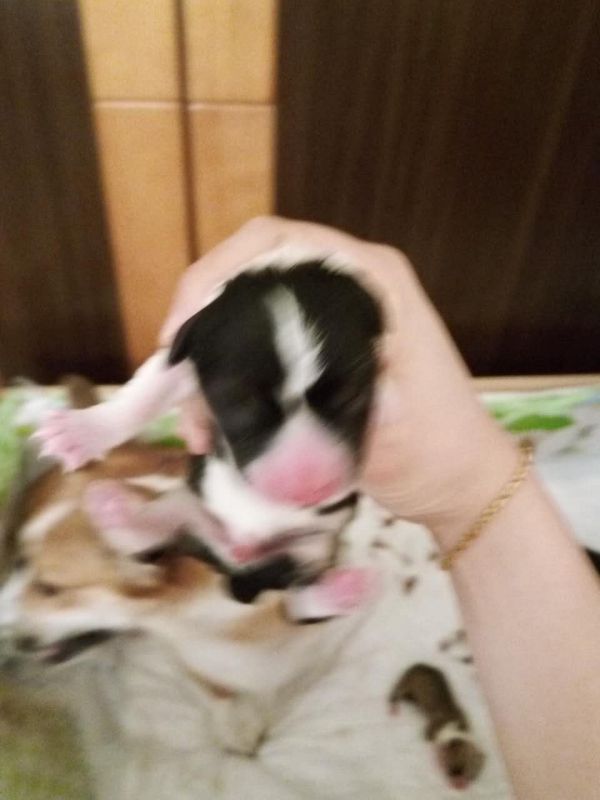老七出生照.jpg