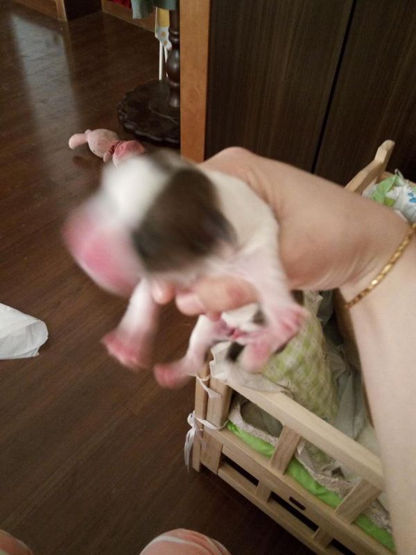 老三出生照.jpg