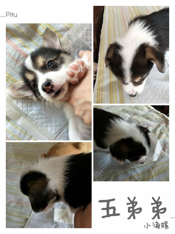 老五广告.jpg