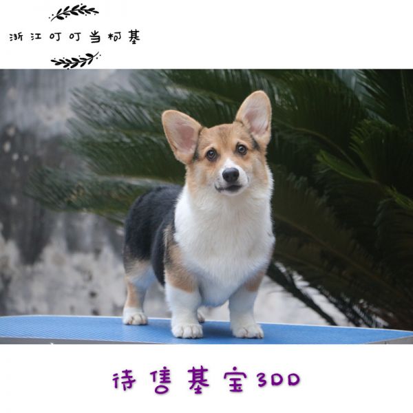 IMG_0433_副本.jpg