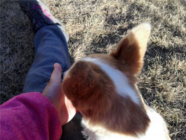 QQ图片20170211162101.jpg