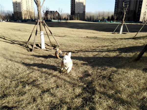 QQ图片20170211162437.jpg