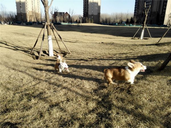 QQ图片20170211162444.jpg