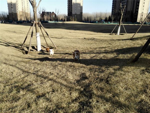 QQ图片20170211162452.jpg