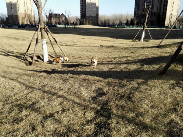 QQ图片20170211162500.jpg