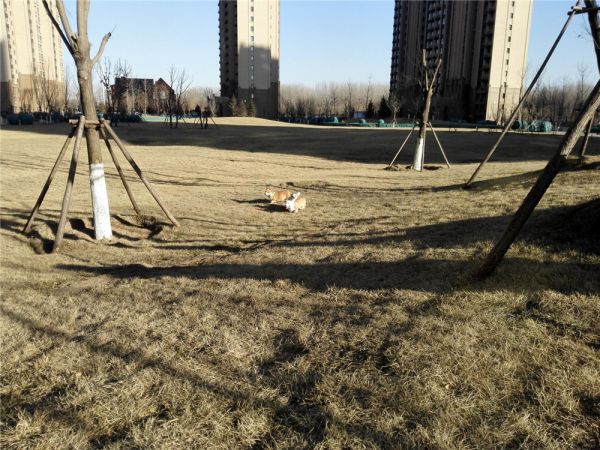 QQ图片20170211162507.jpg