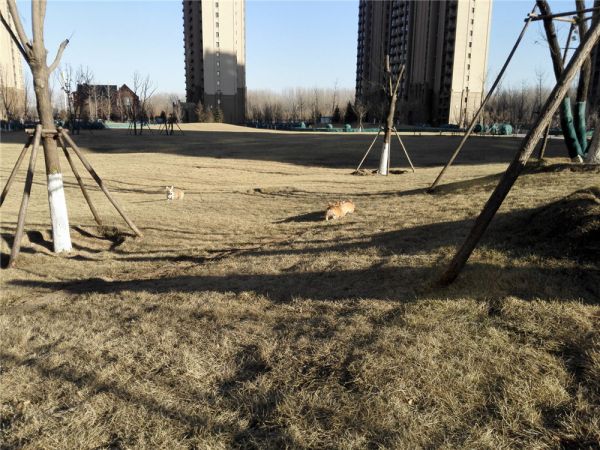 QQ图片20170211162514.jpg