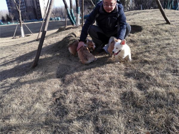 QQ图片20170211162521.jpg