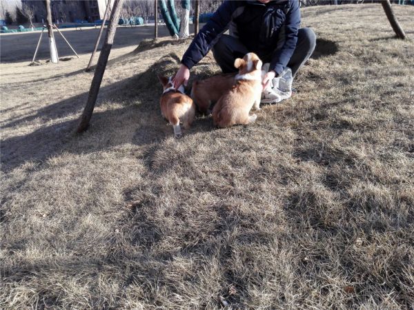 QQ图片20170211162528.jpg