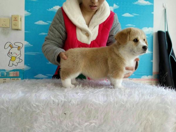 QQ图片20170211183227.jpg