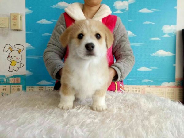 QQ图片20170211183230.jpg