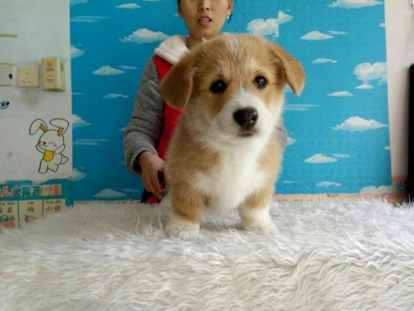 QQ图片20170211183236.jpg