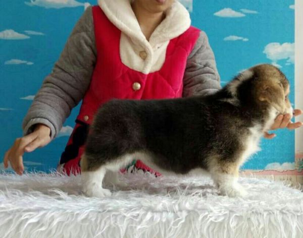 QQ图片20170211183201.jpg