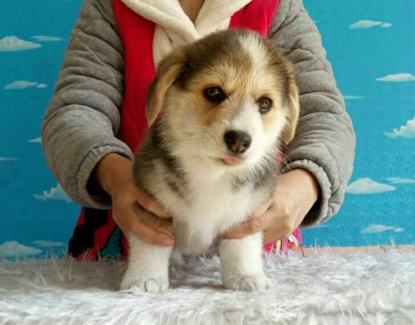 QQ图片20170211183204.jpg