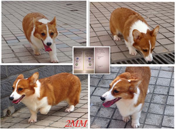 P1110416_副本.jpg