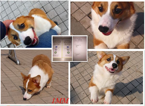 P1110424_副本.jpg