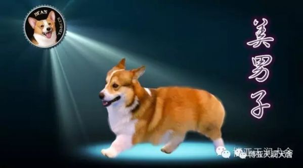 1.webp_副本.jpg