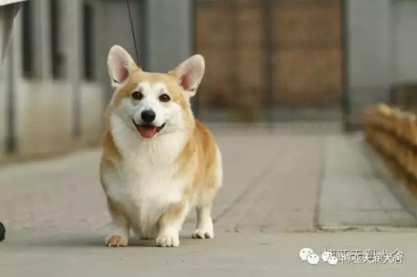 3.webp_副本.jpg