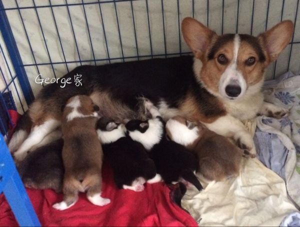 妈妈一代血（父亲是登录冠军直子）