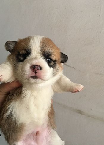 QQ图片20170305085554.jpg