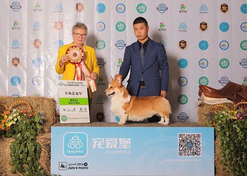 QQ图片20170305085557.jpg