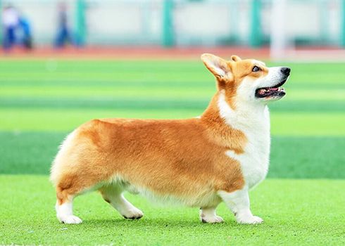 QQ图片20170305085612.jpg