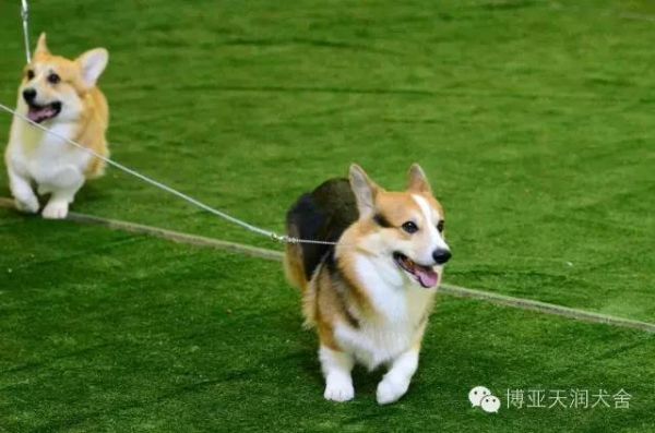 7_副本.jpg
