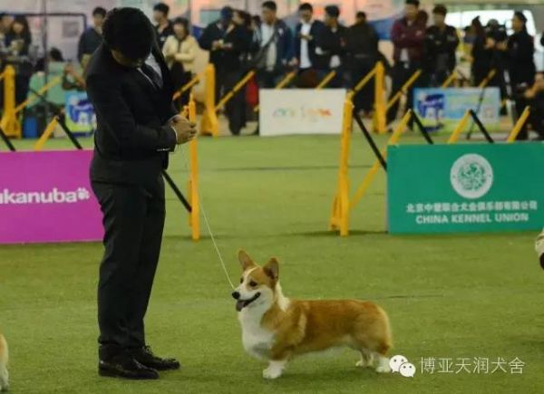 29_副本.jpg