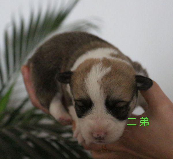 IMG_1152副本.jpg