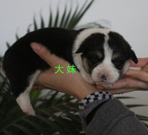 IMG_1219副本.jpg