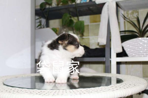 webwxgetmsgimg (6).jpg