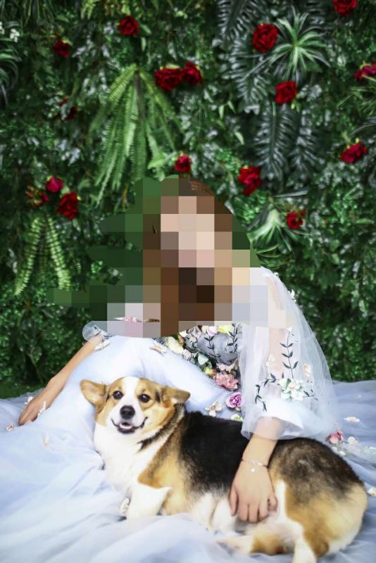 webwxgetmsgimg (9).jpg