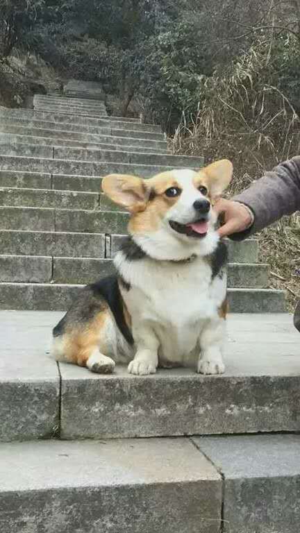 webwxgetmsgimg (12).jpg