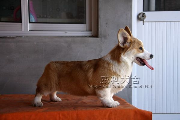 2妹妹