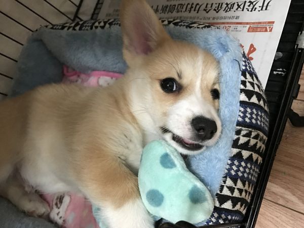 IMG_0291.JPG