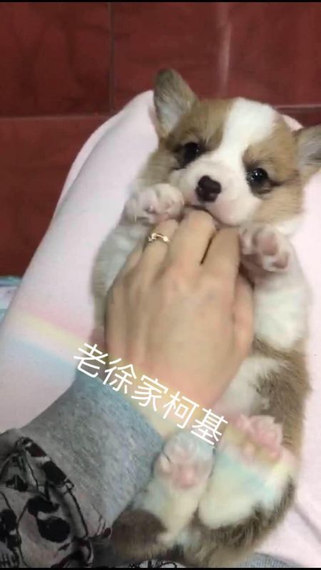yuding 4.jpg
