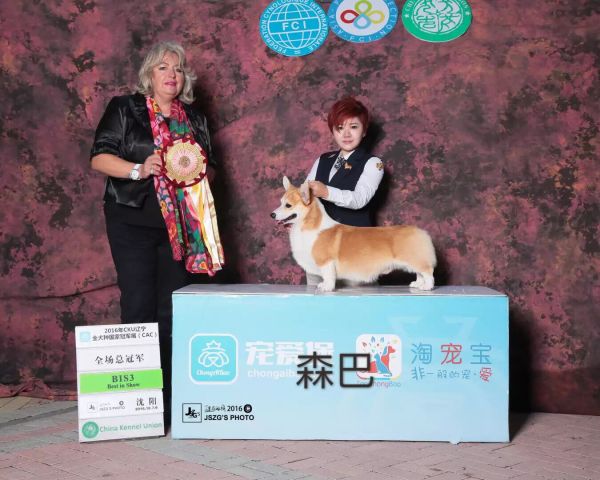 QQ图片20170227191206.jpg
