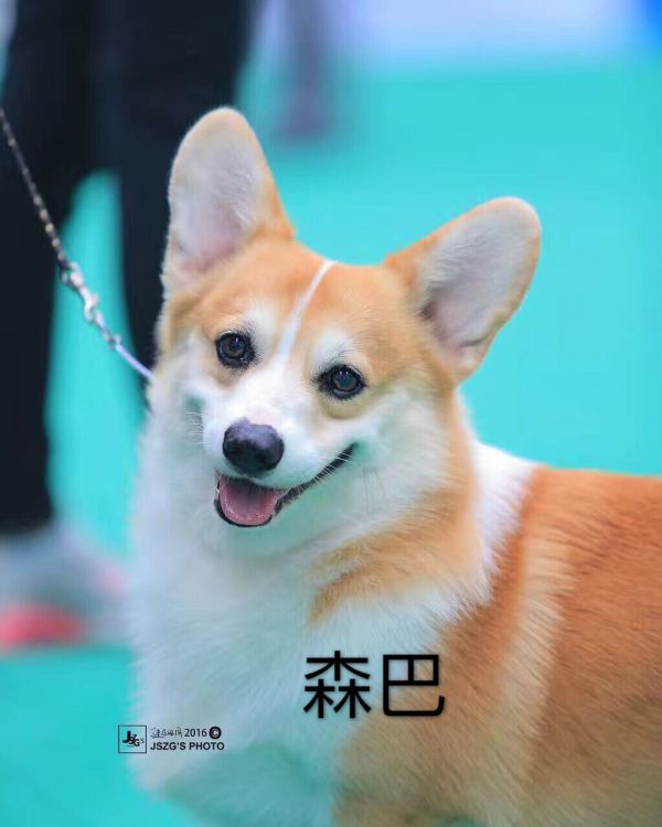 QQ图片20170227191212.jpg
