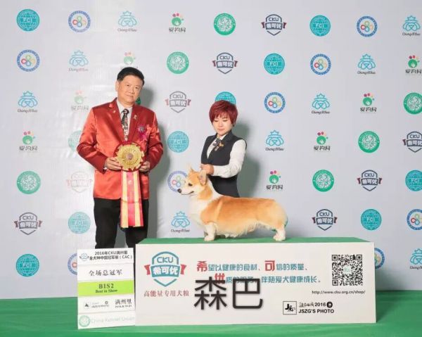 QQ图片20170227190952.jpg