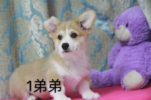 QQ图片20170227191350.jpg